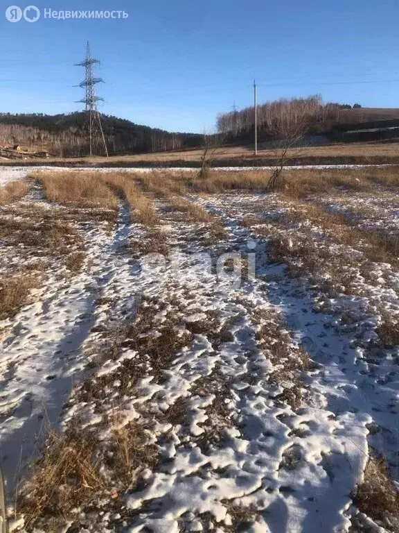Участок в Читинский район, село Смоленка (7.3 м) - Фото 1