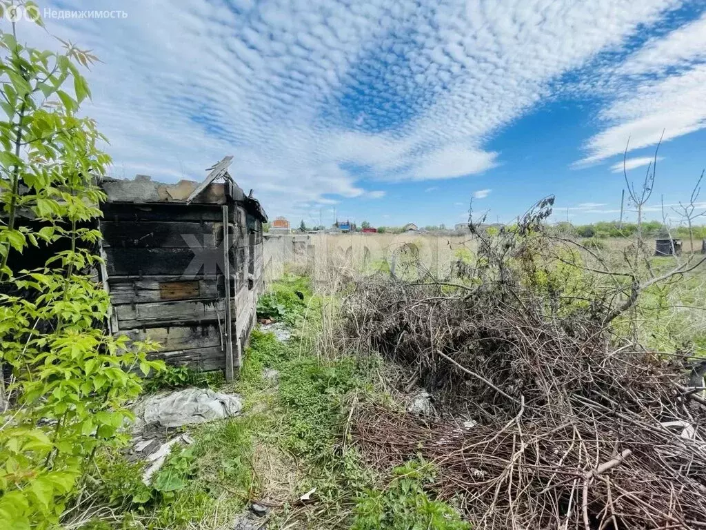 Участок в Карасук, улица Луначарского (11 м) - Фото 1