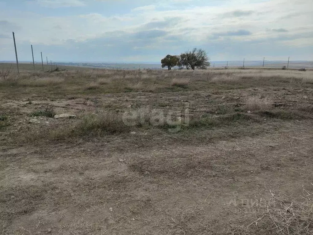 Участок в Крым, Симферопольский район, Родниковское с/пос, Содружество ... - Фото 0