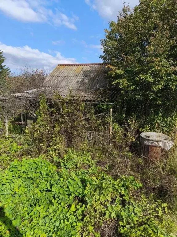 Дом в Свердловская область, Асбест Северная ул., 59 (10 м) - Фото 1