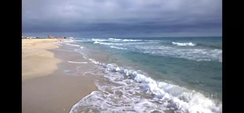 Участок в Крым, Сакский район, Веселовское с/пос  (137.0 сот.) - Фото 2