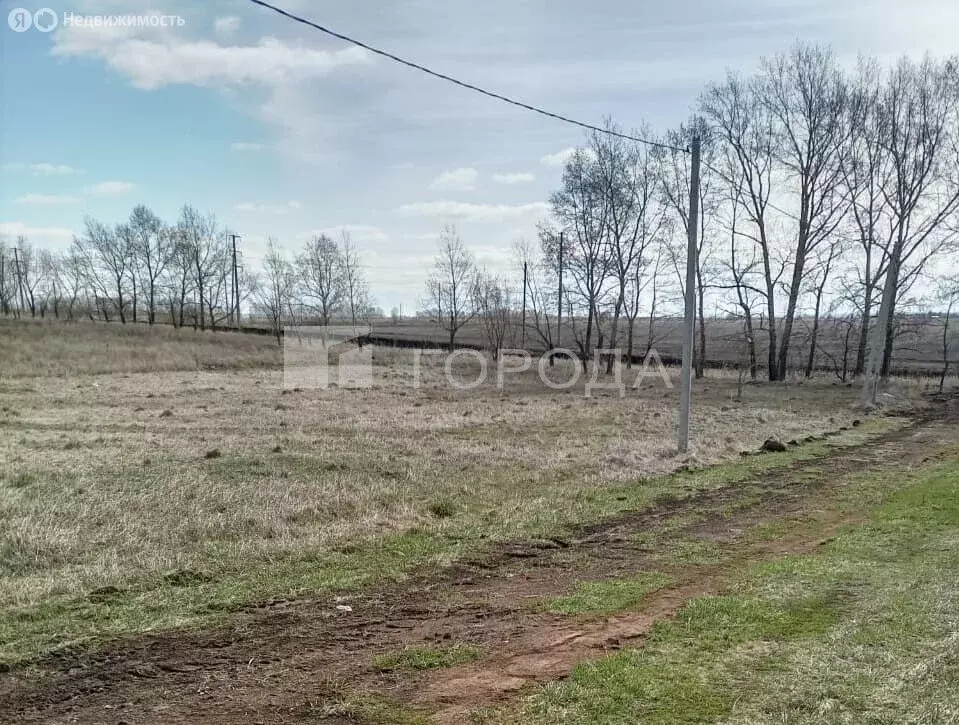 Участок в Центральный, Мирная улица (10.1 м) - Фото 1