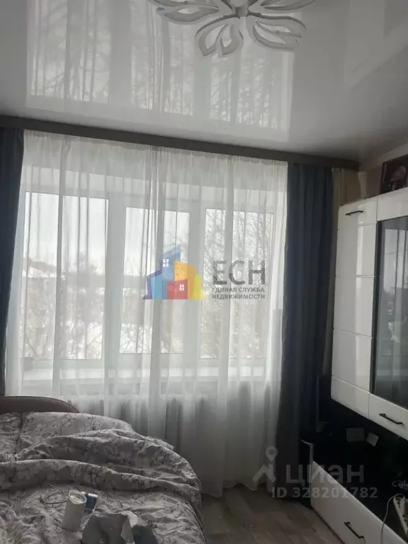 1-к кв. Тульская область, Ефремов ул. Дружбы, 22 (31.8 м) - Фото 2