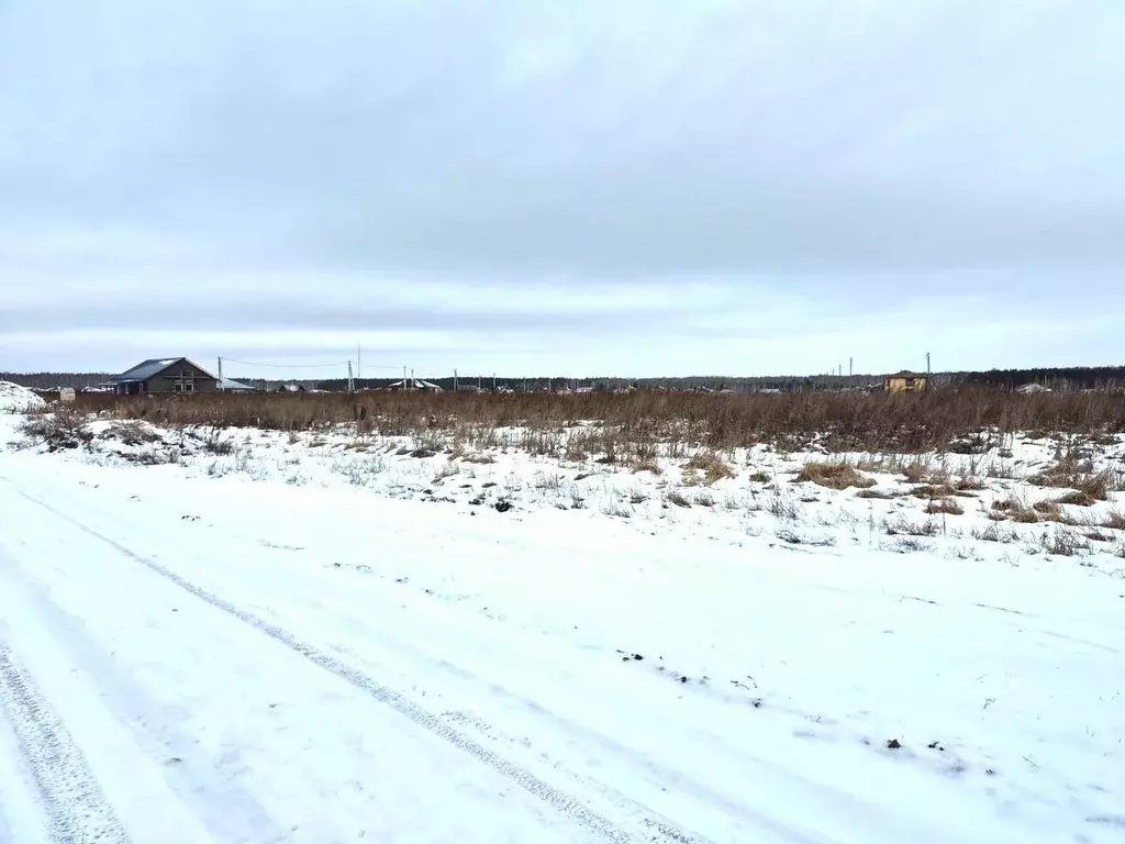 Участок в Омская область, Омский район муниципальный округ, Пушкинское ... - Фото 2