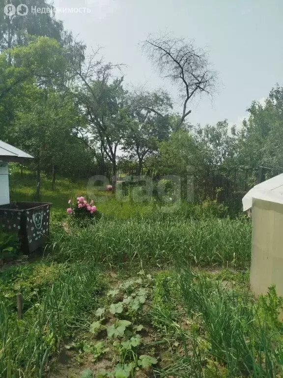Дом в Брянск, садоводческое объединение Родина (22 м) - Фото 1