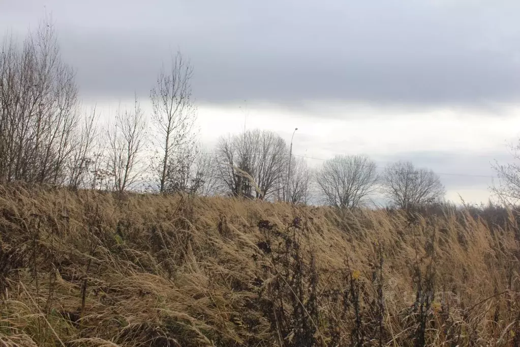 Участок в Москва д. Белоусово, 14А (10.98 сот.) - Фото 2