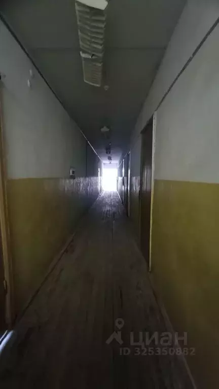 Помещение свободного назначения в Челябинская область, Златоуст ул. ... - Фото 2