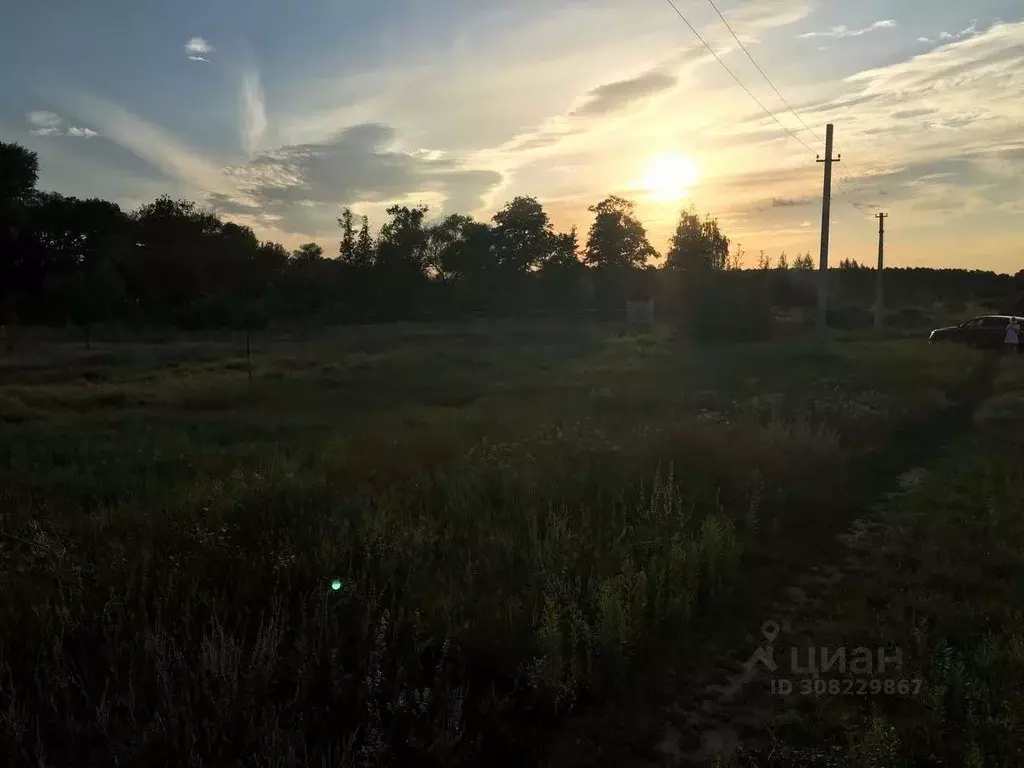 Участок в Воронежская область, Лискинский район, Нижнеикорецкое с/пос, ... - Фото 1