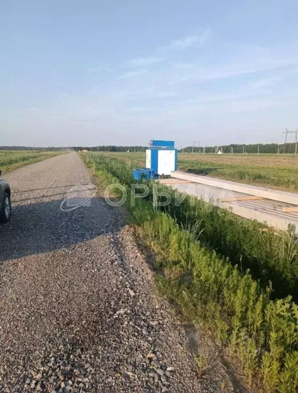 Участок в Тюменская область, Тюменский район, с. Каменка, Завидово кп ... - Фото 1
