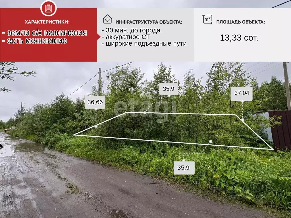 Участок в Архангельская область, Приморский муниципальный округ, Нива ... - Фото 1