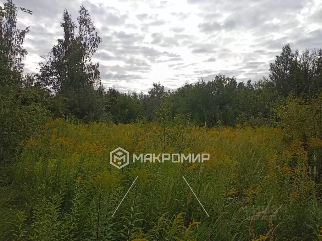 Участок в Орловская область, Орловский район, д. Верхняя Калиновка ул. ... - Фото 0