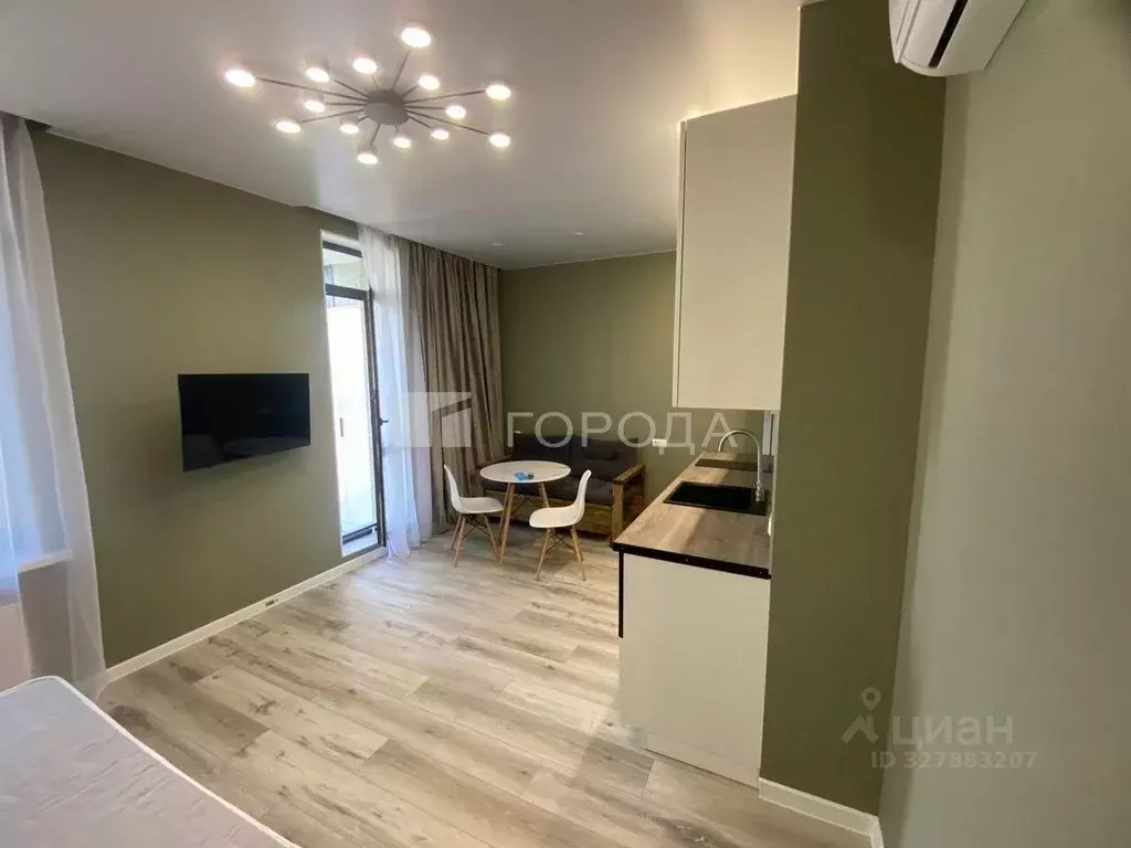 Студия Новосибирская область, Новосибирск ул. Фрунзе, 220 (33.0 м) - Фото 1