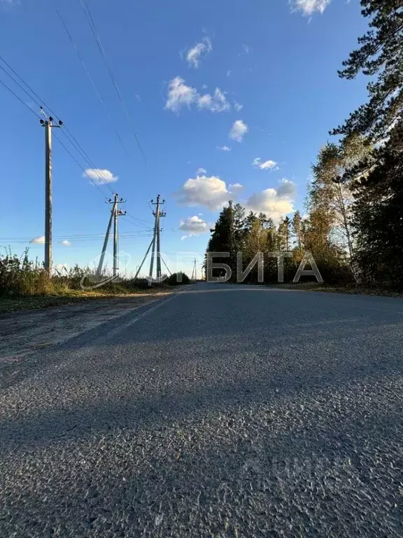 Участок в Тюменская область, Тюменский район Салаирский тракт, 14-й км ... - Фото 0