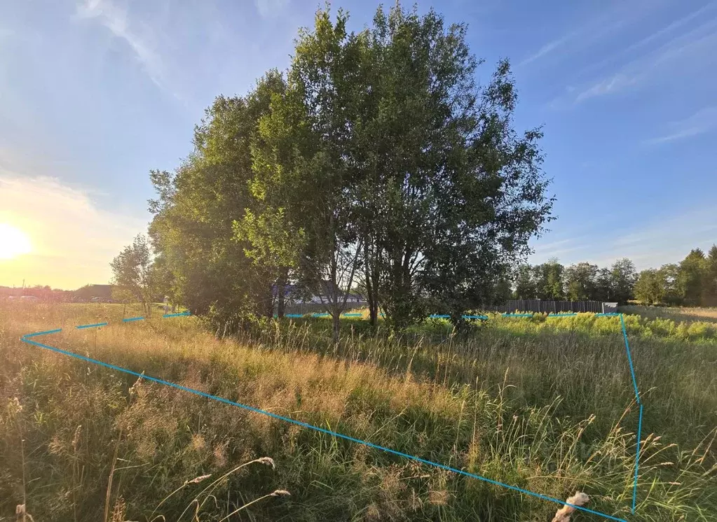 Участок в Ленинградская область, Ломоносовский район, Лопухинское ... - Фото 0