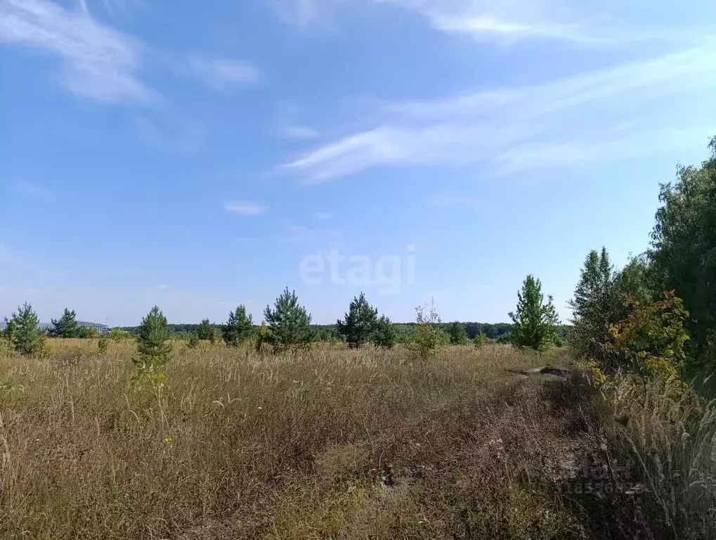 Участок в Воронежская область, с. Новая Усмань ул. Фрунзе, 29 (100.0 ... - Фото 1