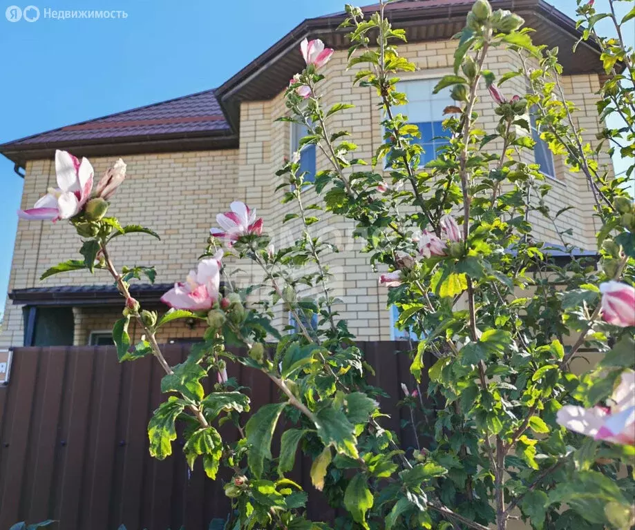 Дом в станица Анапская, Воскресенская улица (170 м) - Фото 2