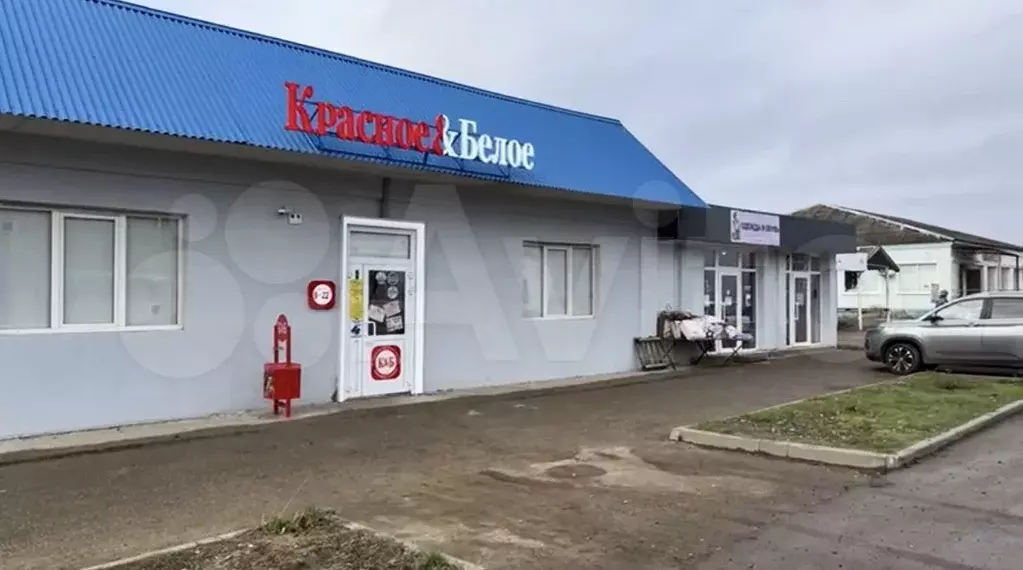 Красное и Белое. Доход - 100 тыс/мес - Фото 0
