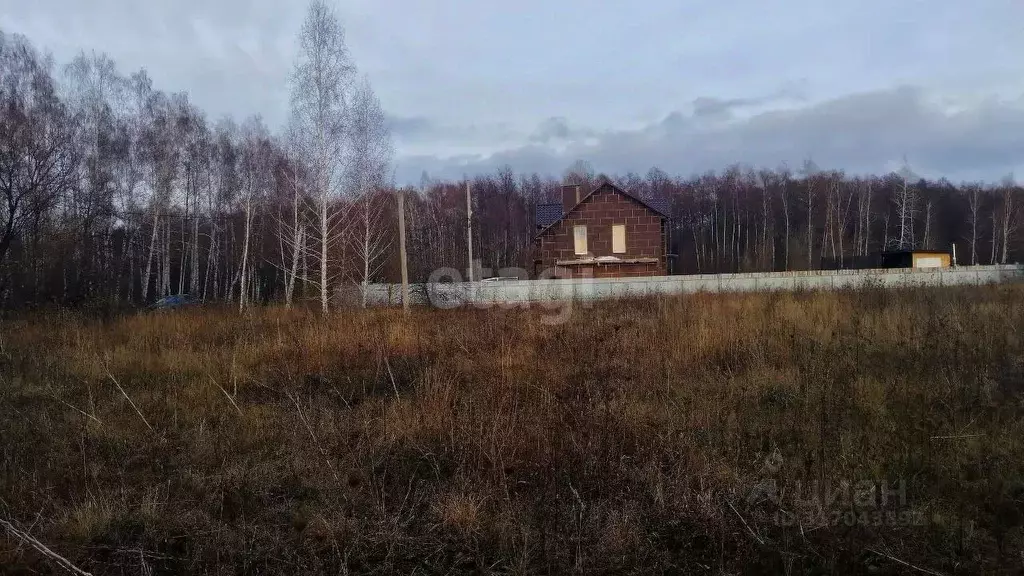 Участок в Воронежская область, Новоусманский район, Усманское 1-е ... - Фото 1