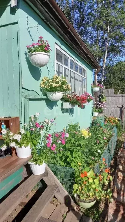 Дом в Хабаровский край, Ванино рп, Рассвет СНТ ул. Весенняя (30 м) - Фото 1