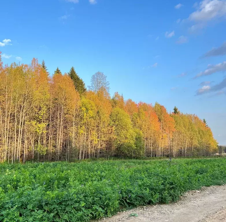 Участок в Пермский край, Пермский муниципальный округ, с. Култаево  ... - Фото 0