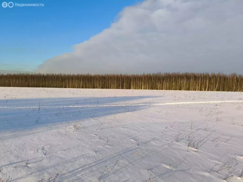 Участок в Раменский городской округ, деревня Васильево (6 м) - Фото 0