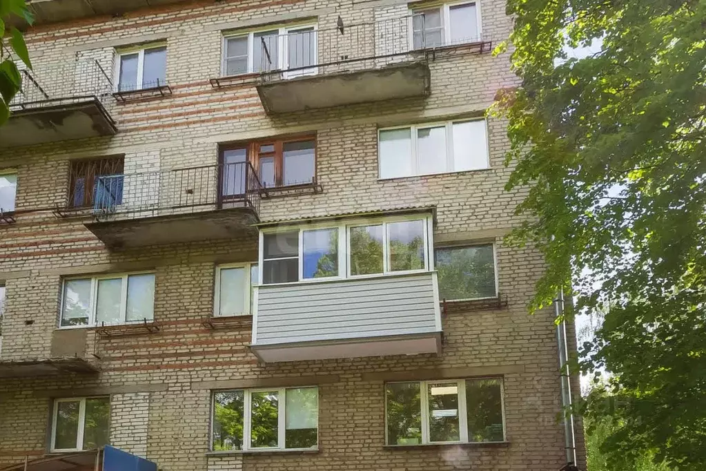 Офис в Владимирская область, Владимир ул. 850-летия, 1/46 (15 м) - Фото 1