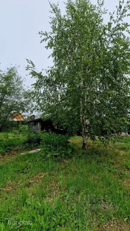 Участок в Иркутская область, Усольский район, Железнодорожное с/пос, ... - Фото 2