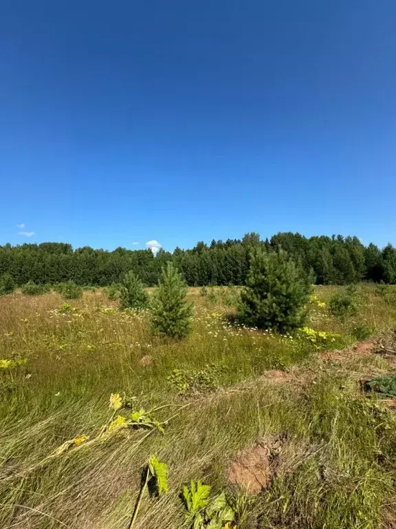 Участок в Кировская область, Слободской район, Ильинское с/пос, д. ... - Фото 2