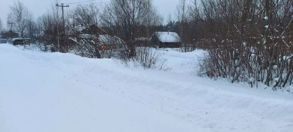 Участок в Архангельская область, Вычегодский рп ул. Привокзальная, 75 ... - Фото 0