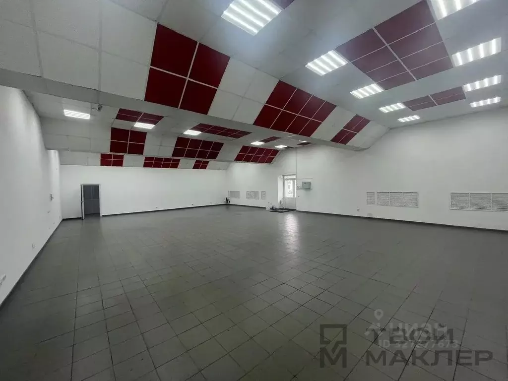 Склад в Пензенская область, Пенза ул. Чаадаева, 135к3 (909 м) - Фото 1