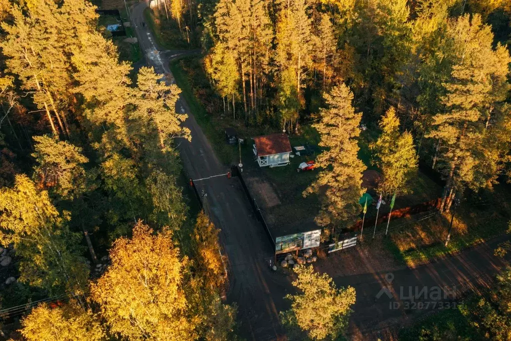 Участок в Ленинградская область, Выборгский район, Приморское ... - Фото 1