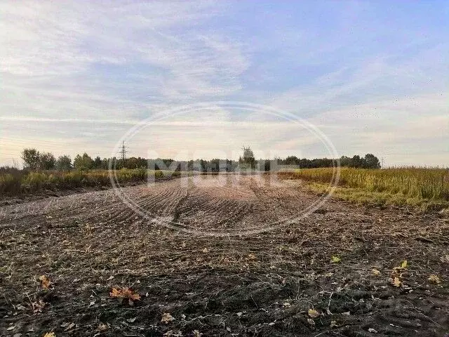 Участок в Калининградская область, Гвардейский муниципальный округ, ... - Фото 1