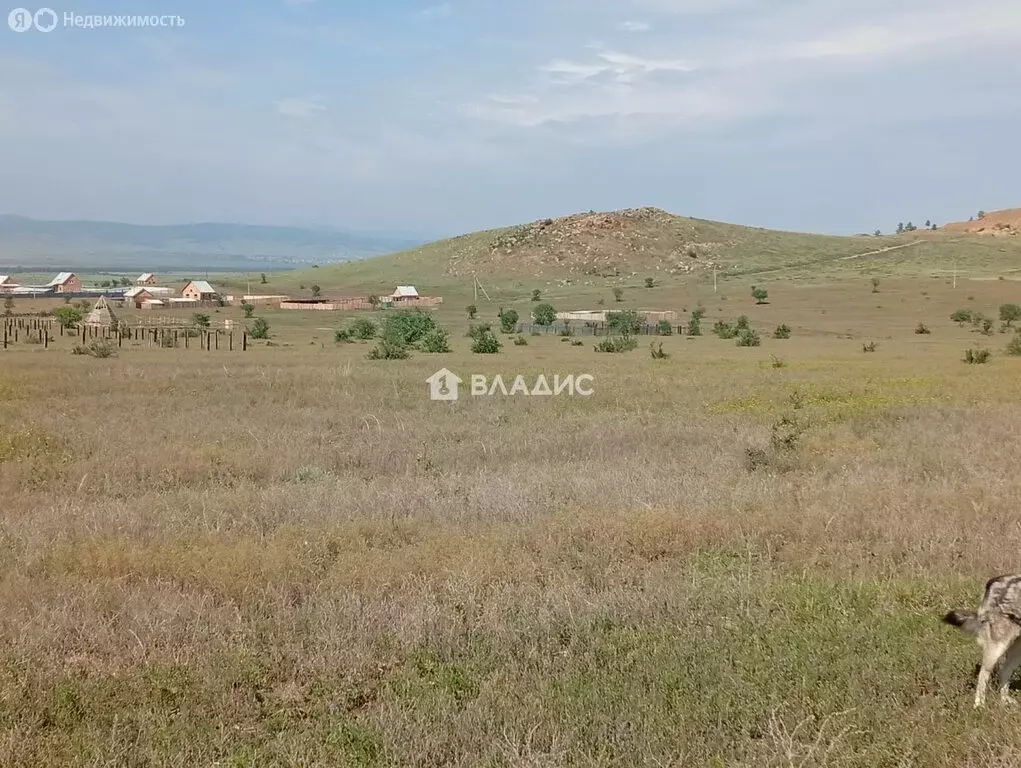 Участок в Иволгинский район, сельское поселение Иволгинское, село ... - Фото 2