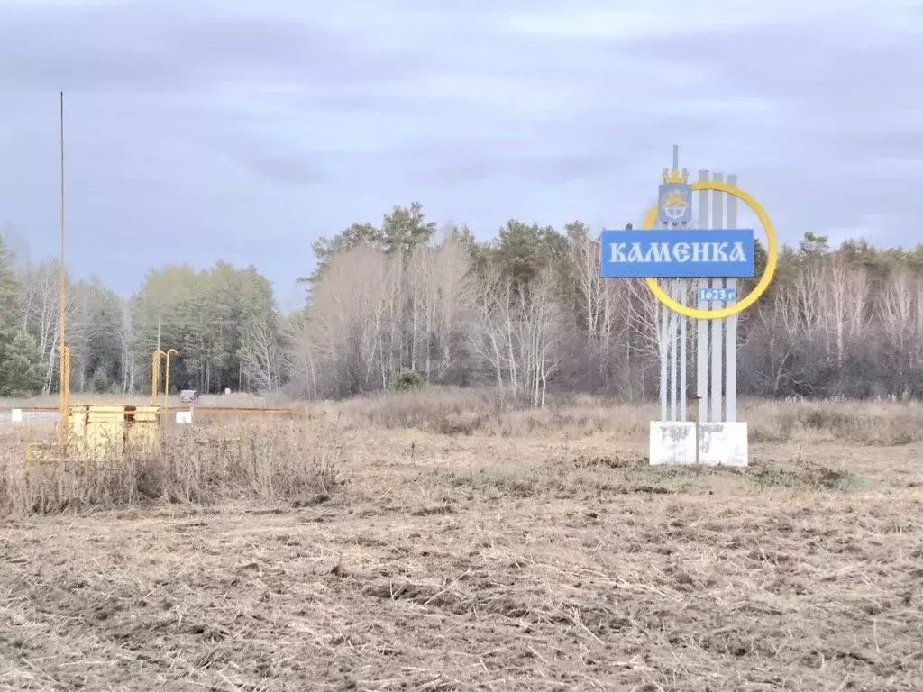 Участок в Тюменская область, Тюменский муниципальный округ, с. Каменка ... - Фото 1