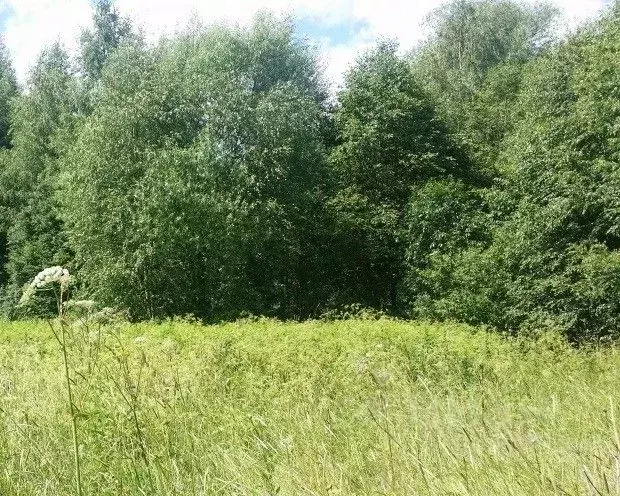 Участок в Тверская область, Калининский муниципальный округ, д. Панино ... - Фото 2