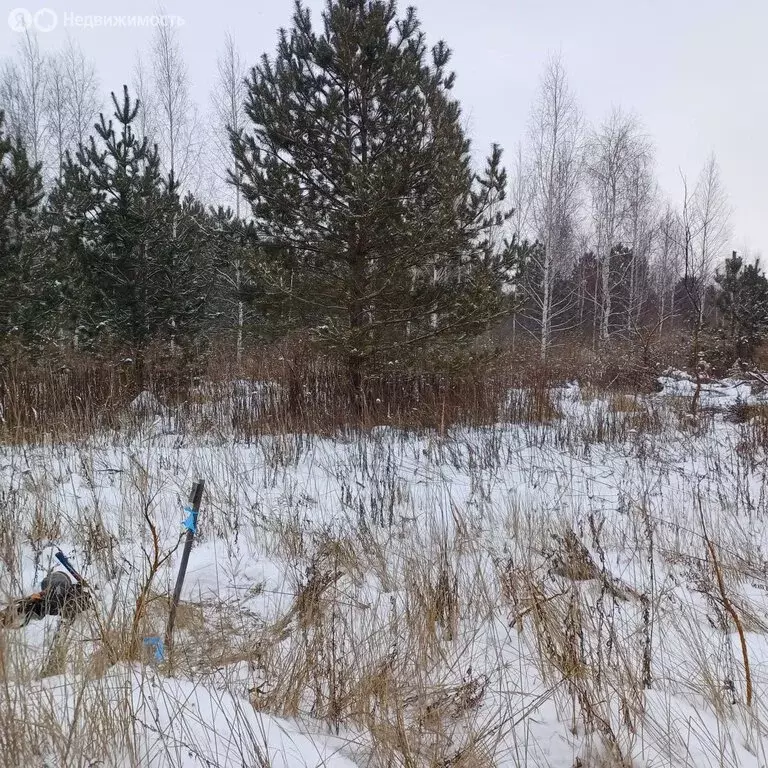 Участок в Липецк, СНТ Жёлтые Пески, уч763 (10 м) - Фото 1