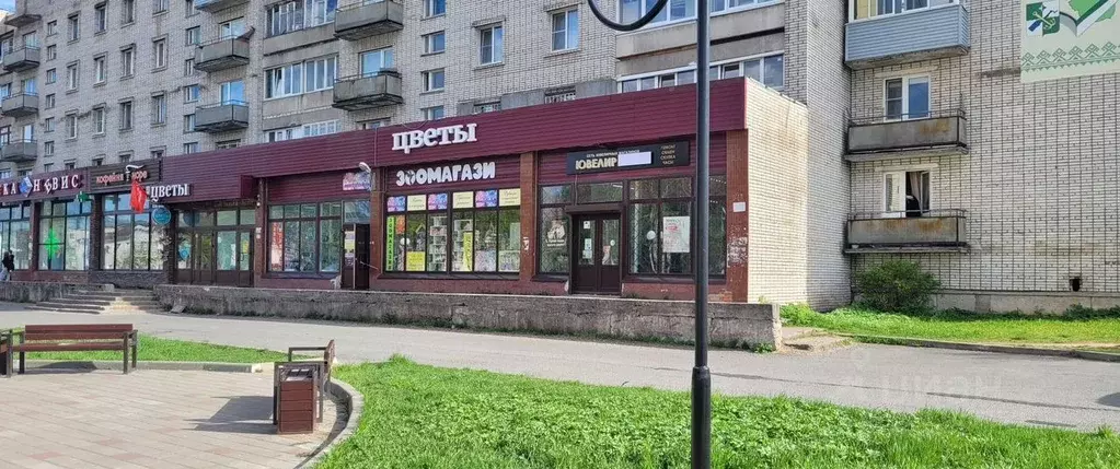 Помещение свободного назначения в Ленинградская область, Подпорожье ... - Фото 1