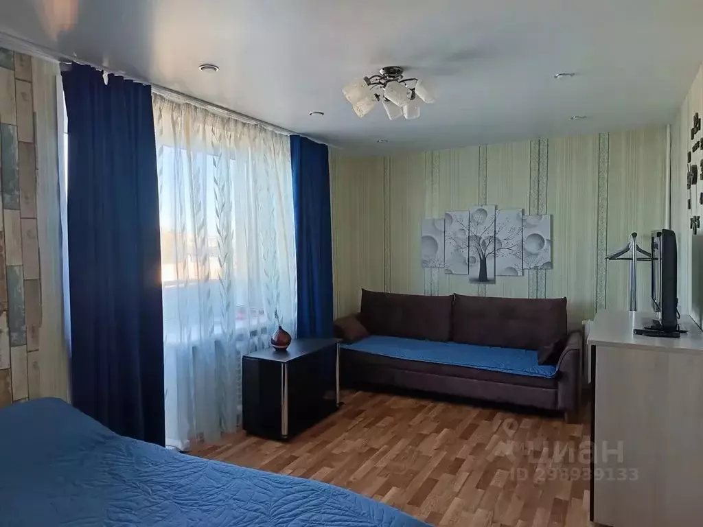 2-к кв. Нижегородская область, Нижний Новгород Ильинская ул., 37 (43.0 ... - Фото 2