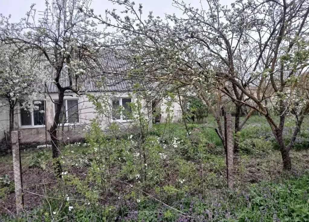 Дом в Краснодарский край, Анапа муниципальный округ, Чекон хут. ул. ... - Фото 1