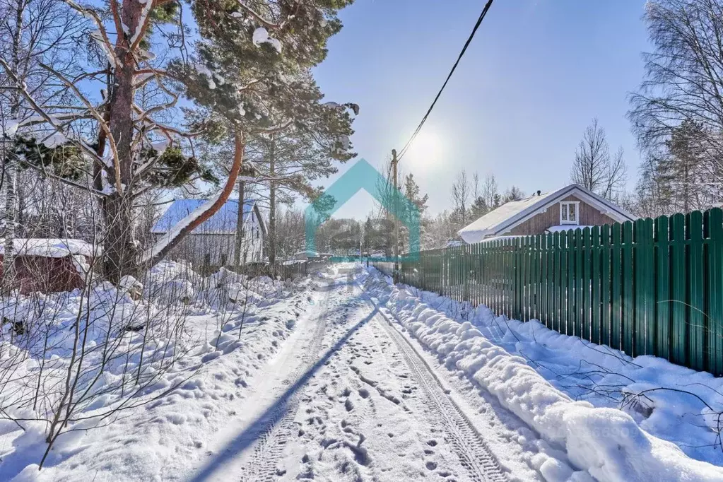 Участок в Ленинградская область, Приозерский район, Мельниковское ... - Фото 1