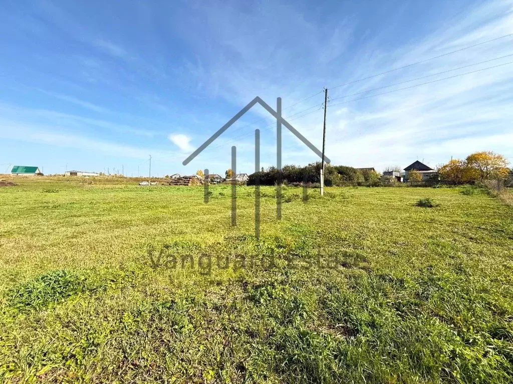 Участок в Алтайский край, Павловский район, с. Шахи ул. Малиновая ... - Фото 2