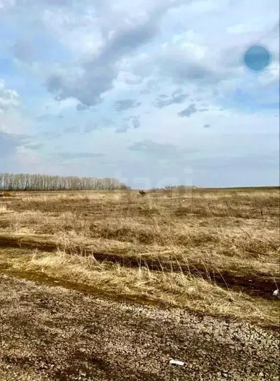 Участок в Мордовия, Саранск городской округ, пос. Пушкино  (15.0 сот.) - Фото 0