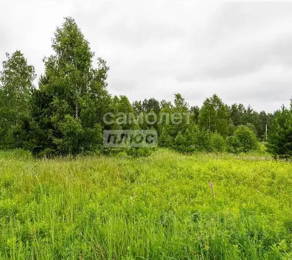 Участок в Московская область, Одинцовский городской округ, д. ... - Фото 0