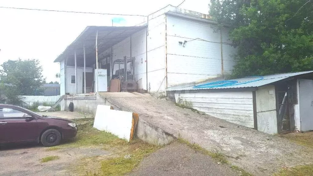 Помещение свободного назначения (245 м) - Фото 0