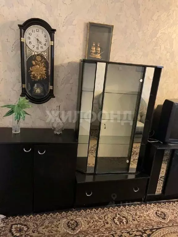 3-к кв. Новосибирская область, Новосибирск Красный просп., 100/1 (56.0 ... - Фото 2