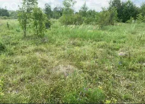 Участок в село Староживотинное, КП Колизей, 1-я Театральная улица (7.2 ... - Фото 2