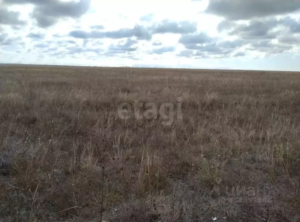 Участок в Крым, Черноморский район, Оленевское с/пос, с. Калиновка ул. ... - Фото 0