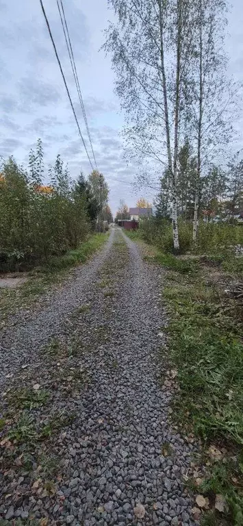 Участок, 9 сот., сельхоз (снт или днп) - Фото 2