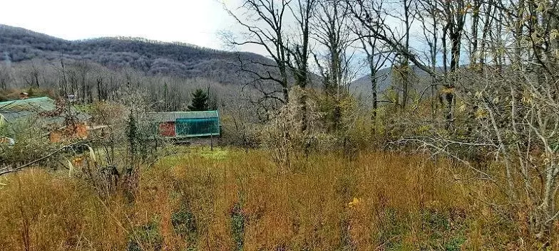 Участок в Краснодарский край, Сочи Тихоновка мкр,  (7.0 сот.) - Фото 2