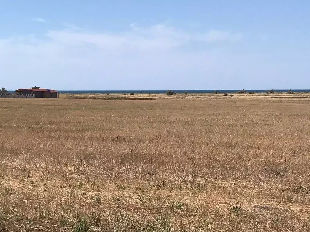 Участок в Крым, Сакский район, Молочненское с/пос, с. Витино  (6.0 ... - Фото 1